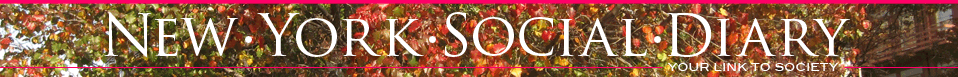 NEW YORK SOCIAL DIARY